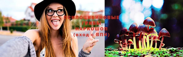 эйфоретик Баксан