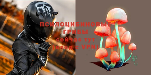ГАЛЛЮЦИНОГЕННЫЕ ГРИБЫ Армянск