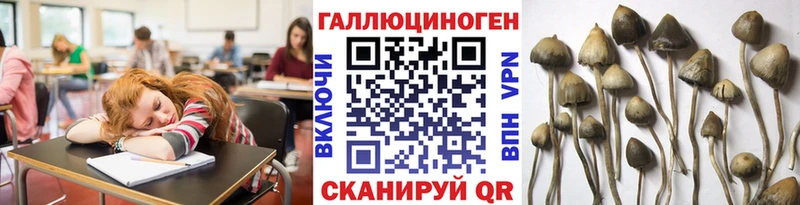 гидра маркетплейс  как найти наркотики  Петровск  Галлюциногенные грибы MAGIC MUSHROOMS 